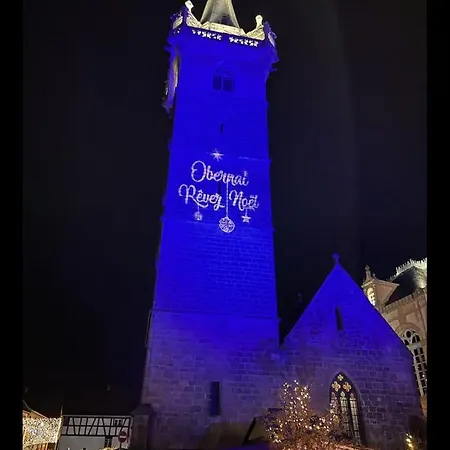 Gite Junior L'Ecrin Du Ried Proche Europa-Park Artolsheim Buitenkant foto