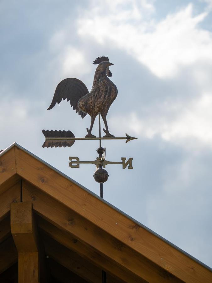 Ferienhaus Junior L'ecrin Du Ried Proche Europa-park *